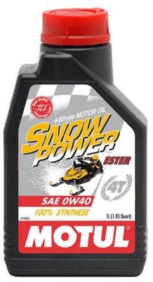 Motul SnowPower 4T